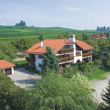 Hotel Alpina Hagnau am Bodensee Extérieur photo