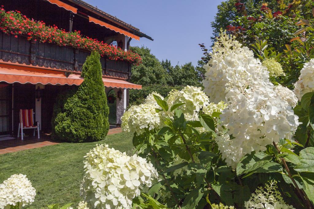 Hotel Alpina Hagnau am Bodensee Extérieur photo